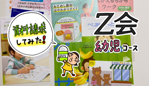 Z-KAI（Z会）幼児コースの資料請求してみた。体験教材の内容とその感想。
